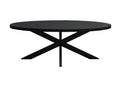 Eetkamertafel Kala Oval Spider | Zwart 240cm