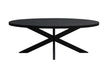 Eetkamertafel Kala Oval Spider | Zwart 240cm