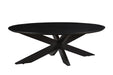 Salontafel Oslo Oval | Zwart